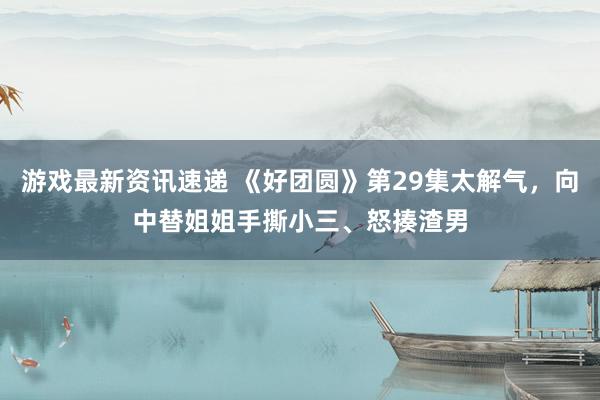 游戏最新资讯速递 《好团圆》第29集太解气，向中替姐姐手撕小三、怒揍渣男