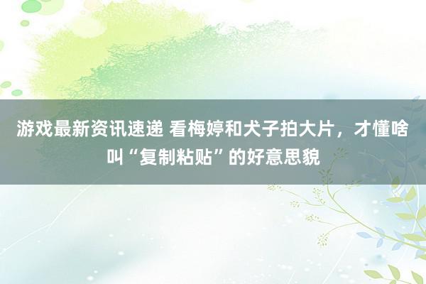 游戏最新资讯速递 看梅婷和犬子拍大片，才懂啥叫“复制粘贴”的好意思貌